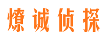 宏伟私家调查公司